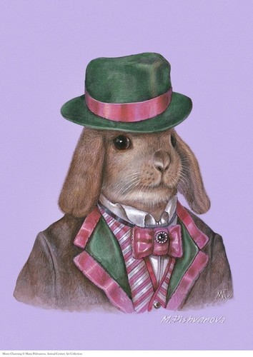 Coniglio rabbit mister - rabbit,