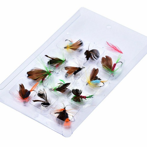 Esche per pesca mosca set - set, 12