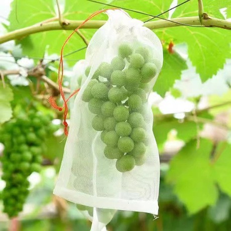 Set sacchetti frutta 100pcs - set,