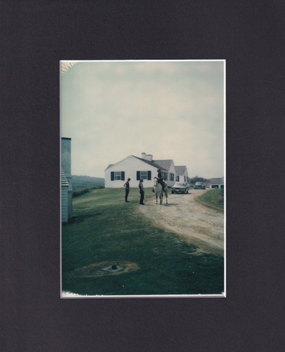 Quadro polaroid stampa - quadro,