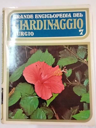 Grande enciclopedia del