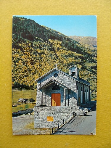 Fusino grosio - (fg.c31),