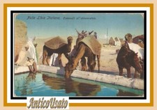 Cartolina Cammelli
