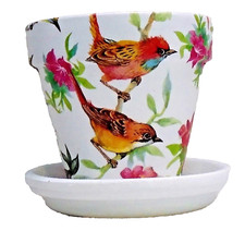 Vaso da interno in terracotta