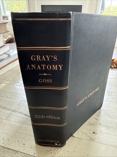 Gray anatomy human - gray’s,
