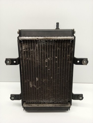 Radiatore sym citycom - sym, 300