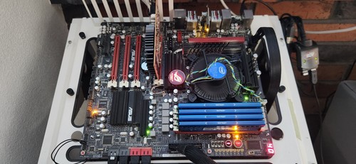 Scheda madre asus - scheda,