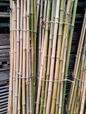 Canne di Bamboo per arredo casa e giardino da  300 Cm - Bambù