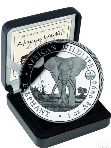 100 scellini somalia wmf - scellini,