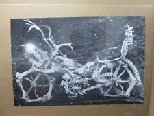 Bones chopper teschi moto anni 80 custom Inv#G1612