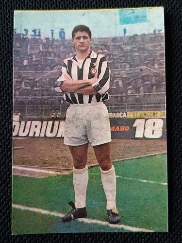 Mazzia - ***mazzia, (juventus)***