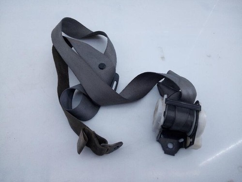 D0251 cintura sicurezza - di,