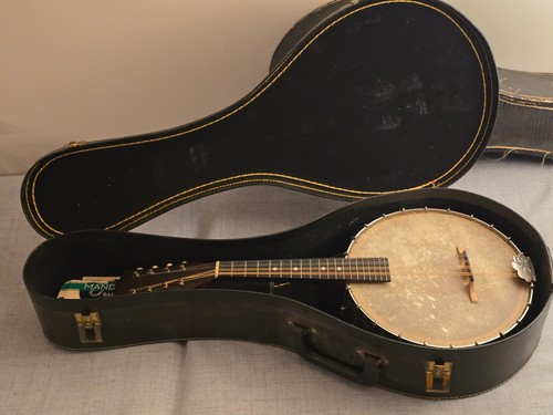 Mandolino fairbanks vega - mandolino, style