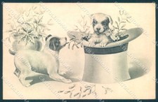 Animali Cane Cuccioli Natale Cappello Viennoise serie 5013 cartolina TW1026