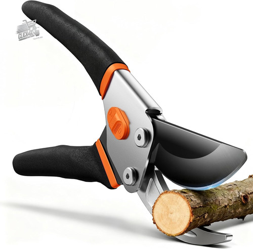 Professional pruning scissors - pruning,