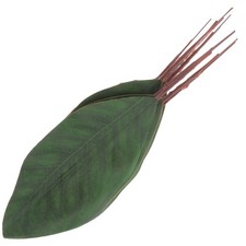  10 Pcs Foglie Decorative