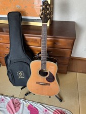 Greg Bennett D-8 chitarra