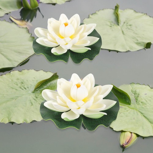 Lotus flower set fiore - flower, di