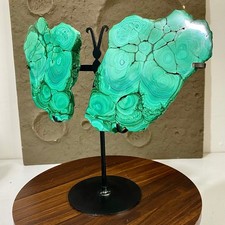 Ali di farfalla in malachite -