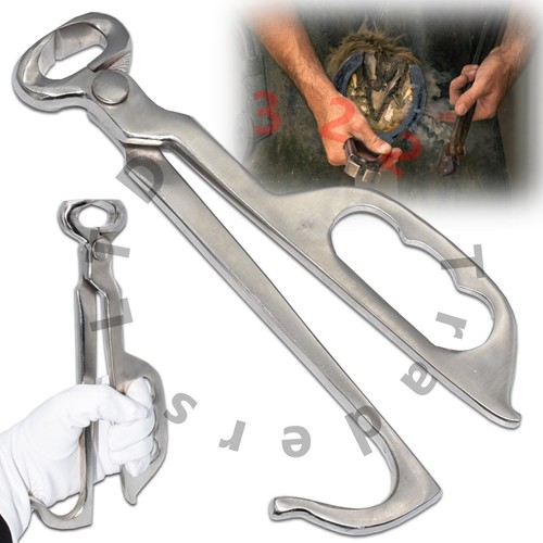 Mini pinza puledro