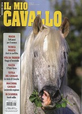 Il Mio Cavallo 2016 5 maggio#hhh