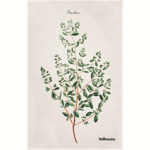 Canovaccio cucina vallesusa - da,