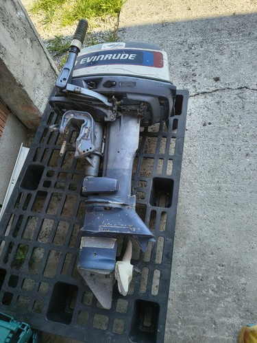 Motore fuoribordo evinrude - motore,
