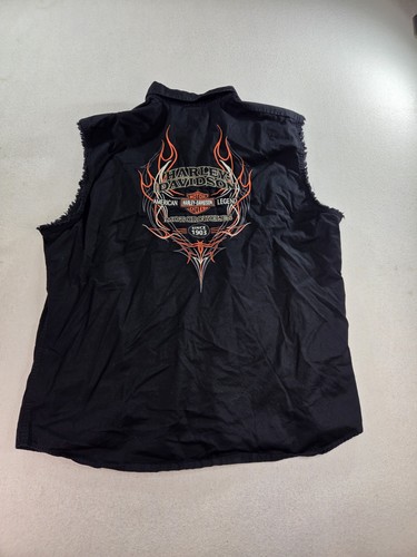 Harley davidson gessato fiamme - harley,