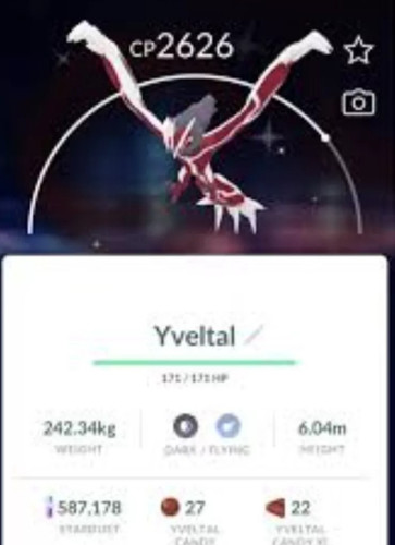Shiny yveltal p t c - p,
