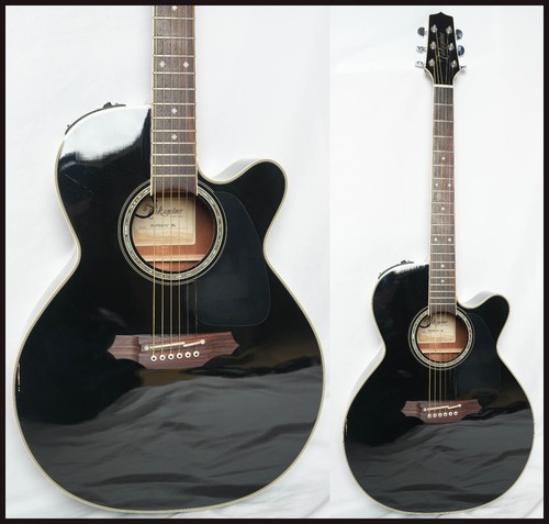 Takamine tdp 561c vacuum - takamine, bl