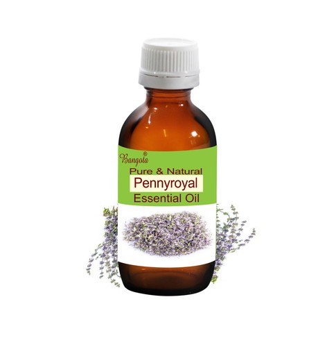 Pennyroyal olio essenziale - pennyroyal,