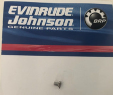Chiave/Perno Girante Pompa Acqua Evinrude Johnson 2HP 4HP 6HP Fuoribordo Barca Marina