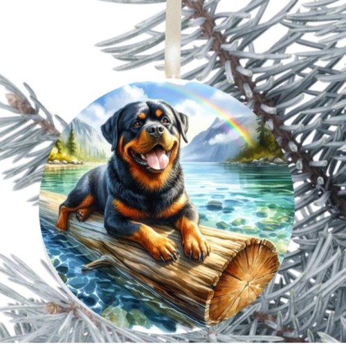 Rottweiler cucciolo cane - rottweiler,