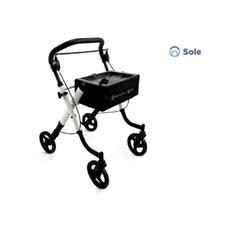 Deambulatore rollator