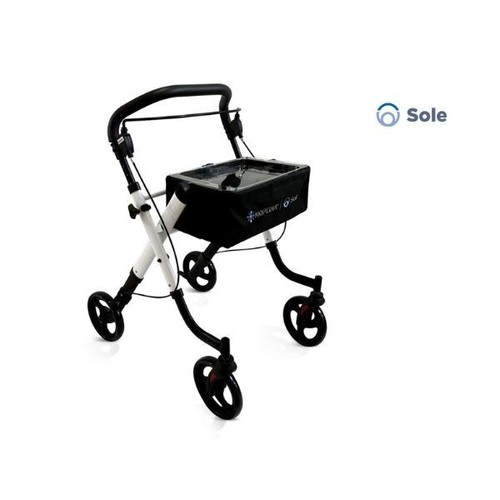 Deambulatore rollator