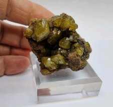 Minerali◇Zolfo Bituminoso