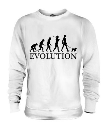 Miniatura barboncino evolution - miniatura,