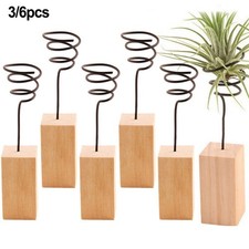 Espositore per piante aeree