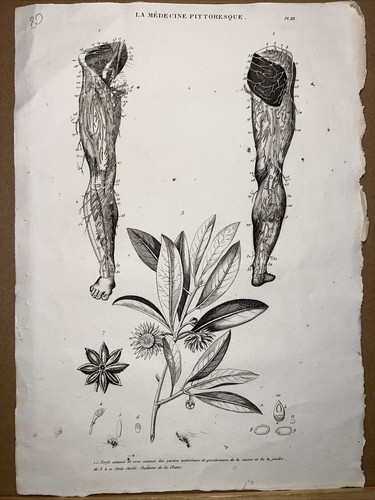 Incisione acciaio antica - incisione,
