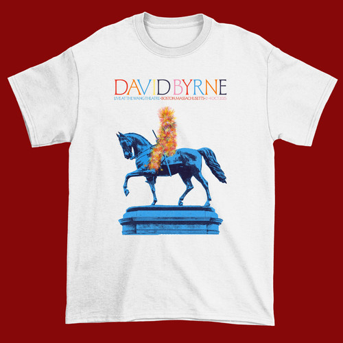 Camicia david byrne - camicia,