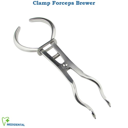Dentistico brewer gomma diga - brewer,