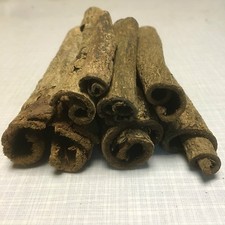 Tubi di corteccia - catappa