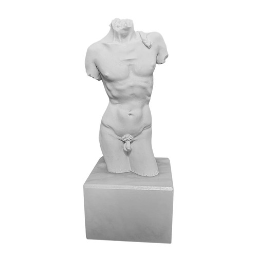 Torso david michelangelo - torso,