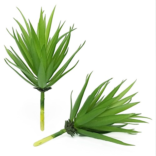 Succulente artificiali - succulente,