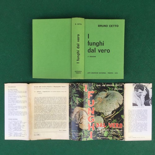 Bruno cetto funghi - bruno, dal