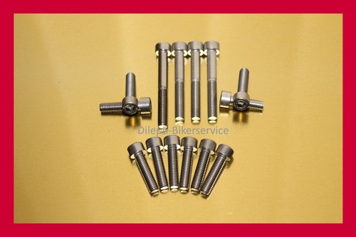 Viti acciaio inox coperchio - viti,