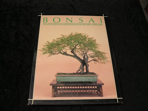 Bonsai