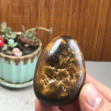 Bonsai Naturale Suiseki Gobi