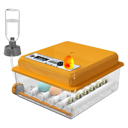 Incubatrice per uova con - incubatrice,