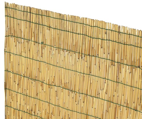 Arella cina bamboo da - arella,